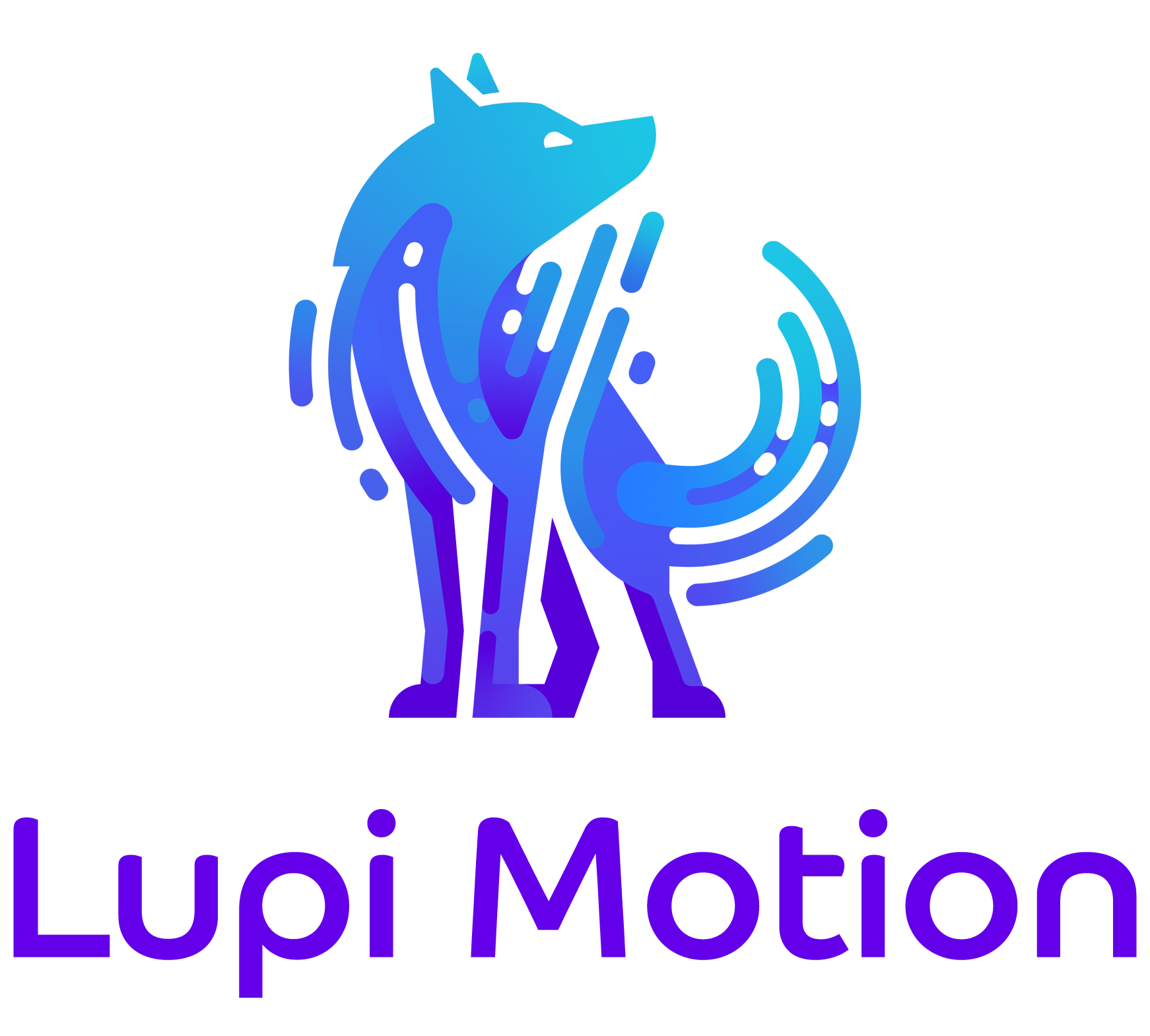 Lupi Motion